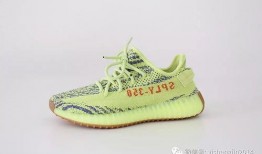 网红椰子爆料视频大全